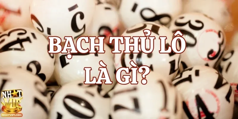 Bạch thủ lô là phương pháp chơi lô đề phổ biến với lựa chọn một con số duy nhất