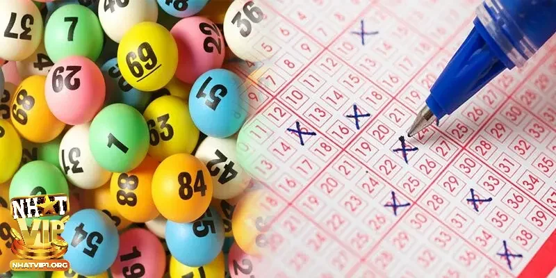 Cơ chế nhận thưởng xổ số Bình Định từ chuyên gia