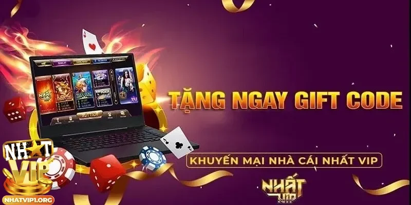 Cập nhật các khuyến mãi Nhatvip hot nhất hiện nay