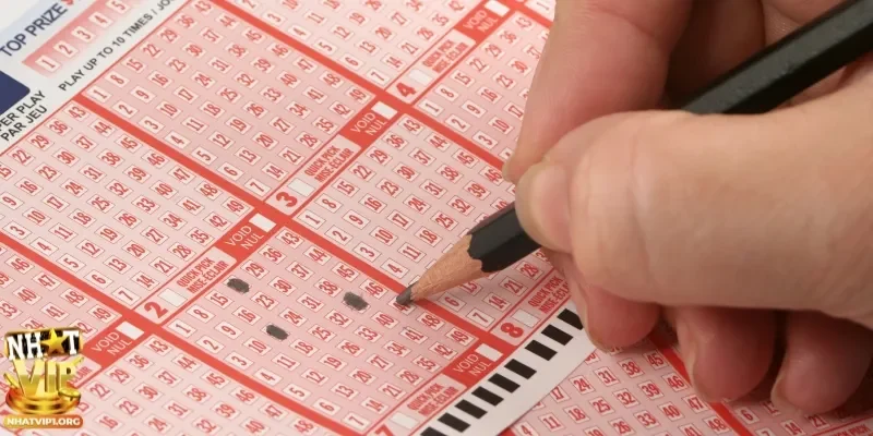 Người chơi cần có sự thống kê con số để đưa ra dự đoán chính xác