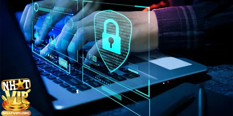 Nhiệm vụ của người chơi trong quyền riêng tư Nhatvip