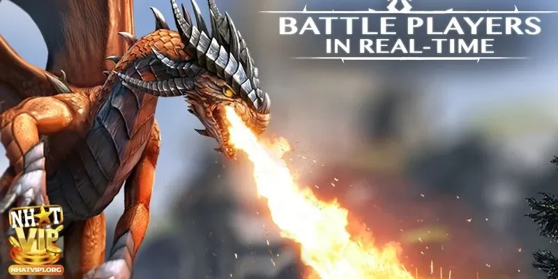 Vì sao game bài rồng lửa cuốn hút